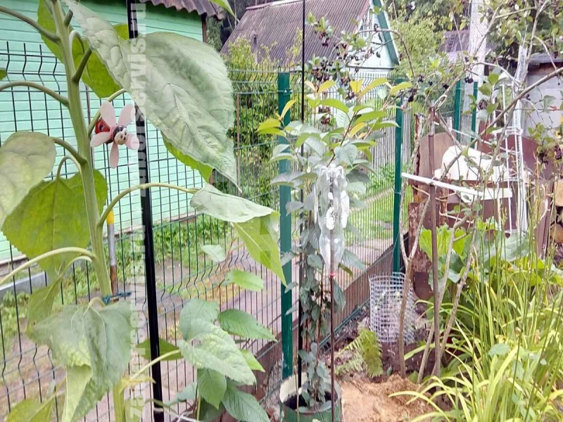 3D заборы 18 метров 4мм